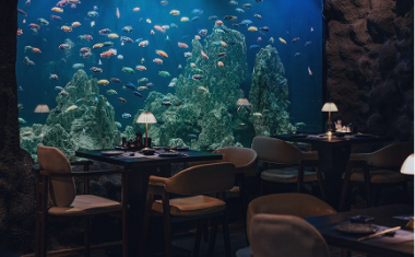 The Aquarium Zone
